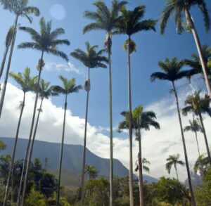 Assicurazione viaggio Brasile: protezione per i tuoi viaggi. Viaggiare in Brasile è un'esperienza unica, ma è importante essere protetti. Scopri perché l'assicurazione viaggio è fondamentale per goderti al meglio il tuo viaggio in Brasile. Viaggiare in Brasile richiede attenzione e precauzione. Non dimenticare di proteggerti con un'assicurazione viaggio affidabile.