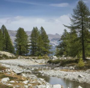 Assicurazione viaggio Svizzera: come scegliere quella giusta per viaggiare in sicurezza