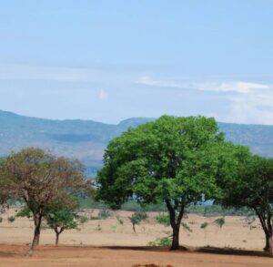 polizza-viaggio-salute-tanzania